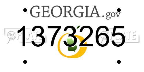1373265 Georgia License Plate