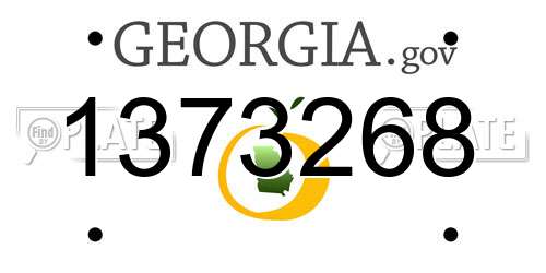 1373268 Georgia License Plate