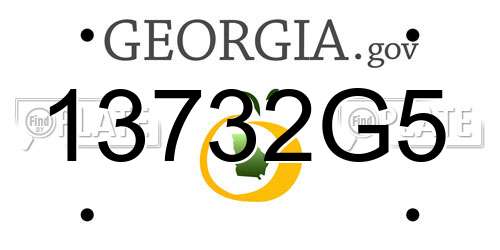 13732G5 Georgia License Plate