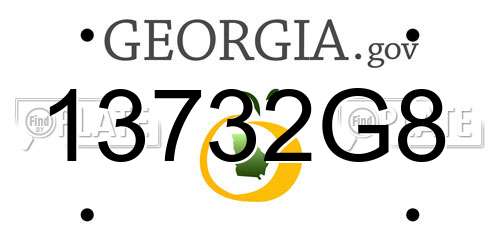 13732G8 Georgia License Plate