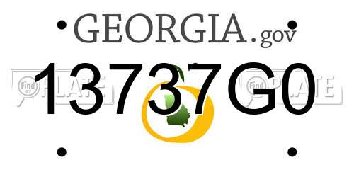 13737G0 Georgia License Plate