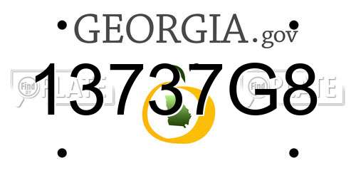 13737G8 Georgia License Plate