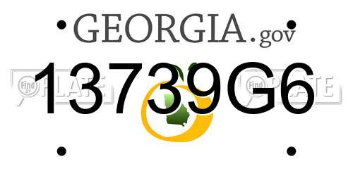 13739G6 Georgia License Plate