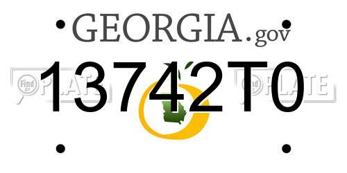 13742T0 Georgia License Plate