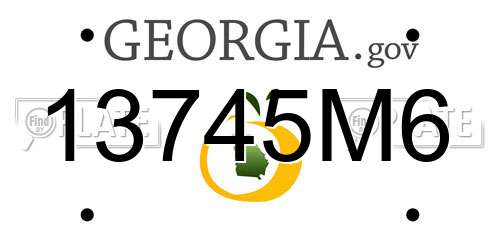 13745M6 Georgia License Plate