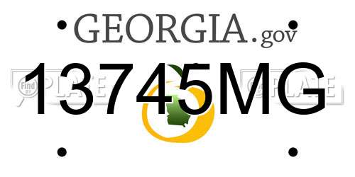 13745MG Georgia License Plate