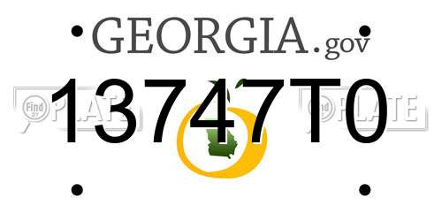 13747T0 Georgia License Plate