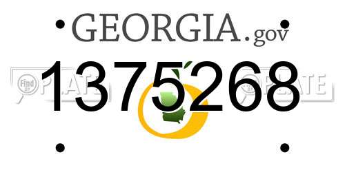 1375268 Georgia License Plate