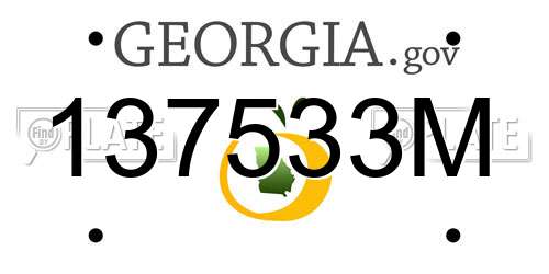 137533M Georgia License Plate
