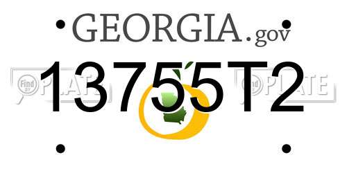 13755T2 Georgia License Plate