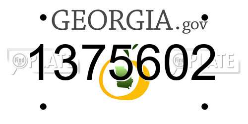 1375602 Georgia License Plate