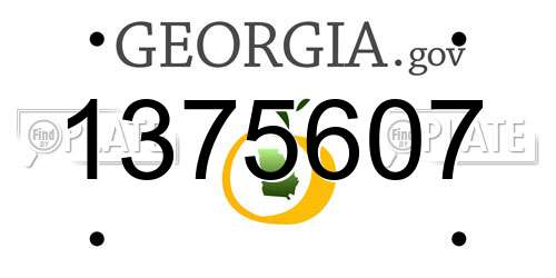 1375607 Georgia License Plate