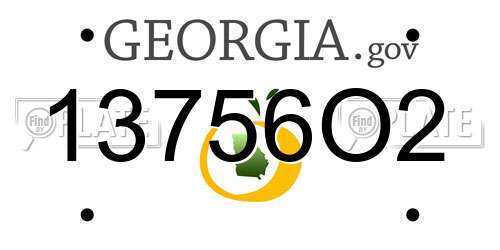 13756O2 Georgia License Plate