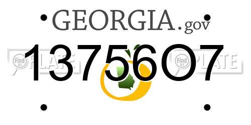 13756O7 Georgia License Plate