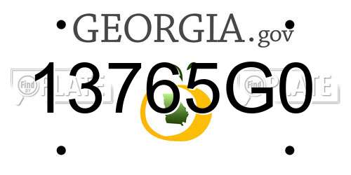 13765G0 Georgia License Plate