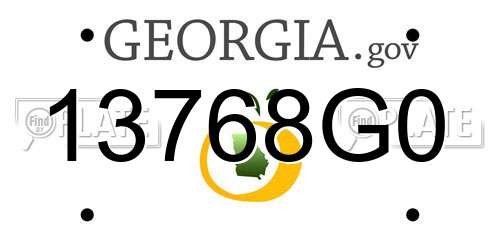 13768G0 Georgia License Plate