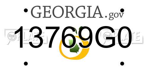 13769G0 Georgia License Plate