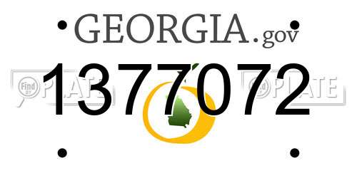 1377072 Georgia License Plate