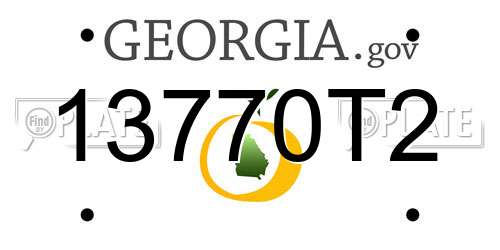 13770T2 Georgia License Plate