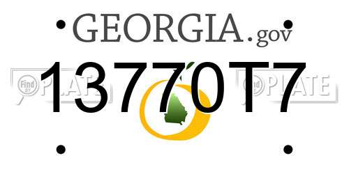 13770T7 Georgia License Plate