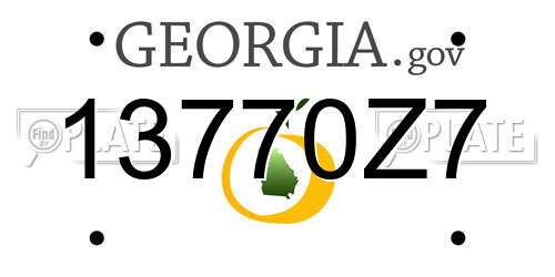 13770Z7 Georgia License Plate