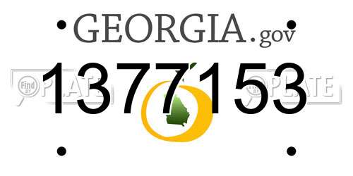 1377153 Georgia License Plate