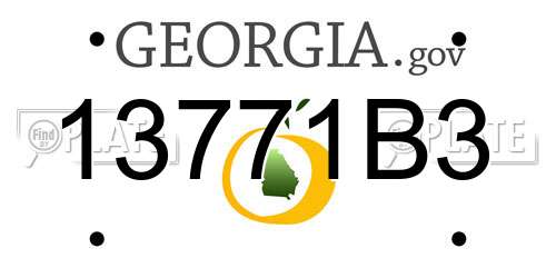 13771B3 Georgia License Plate