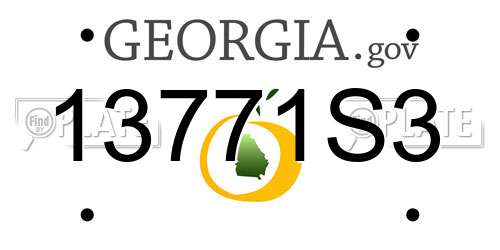 13771S3 Georgia License Plate