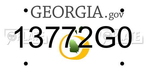 13772G0 Georgia License Plate