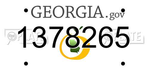 1378265 Georgia License Plate
