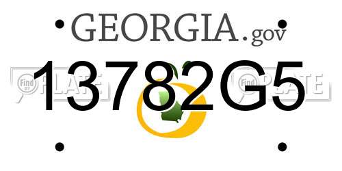 13782G5 Georgia License Plate