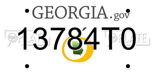 13784T0 Georgia License Plate