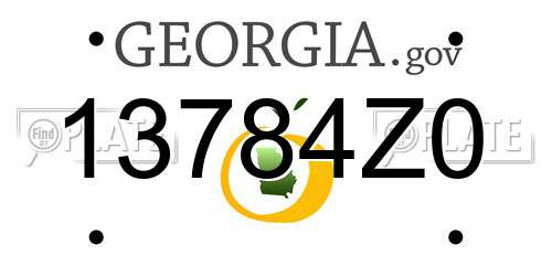 13784Z0 Georgia License Plate