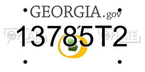 13785T2 Georgia License Plate