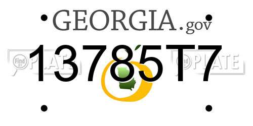 13785T7 Georgia License Plate