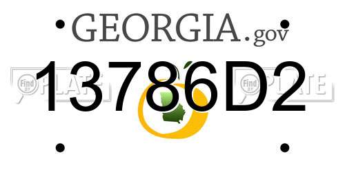 13786D2 Georgia License Plate