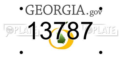 13787 Georgia License Plate