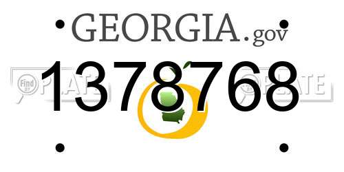 1378768 Georgia License Plate