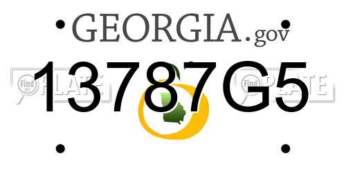 13787G5 Georgia License Plate