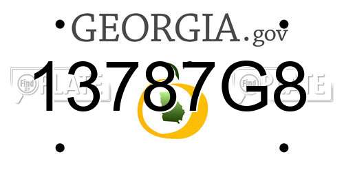 13787G8 Georgia License Plate