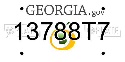 13788T7 Georgia License Plate