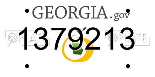1379213 Georgia License Plate