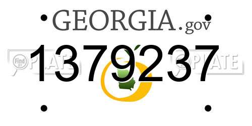 1379237 Georgia License Plate