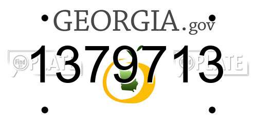 1379713 Georgia License Plate