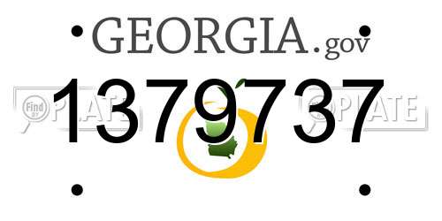 1379737 Georgia License Plate