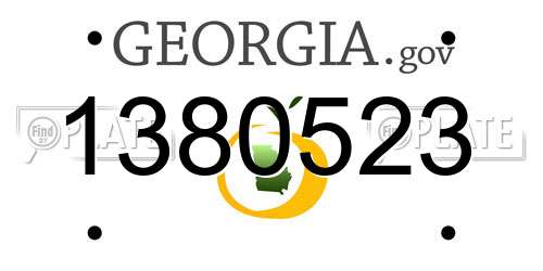 1380523 Georgia License Plate