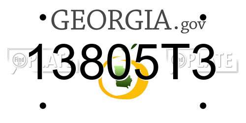 13805T3 Georgia License Plate