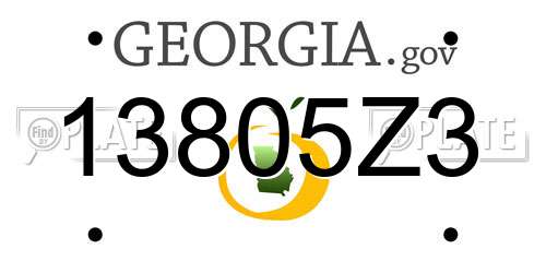 13805Z3 Georgia License Plate