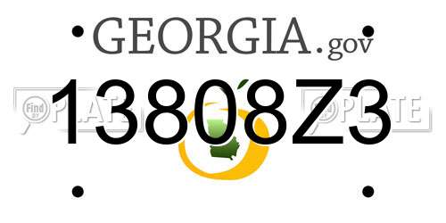 13808Z3 Georgia License Plate