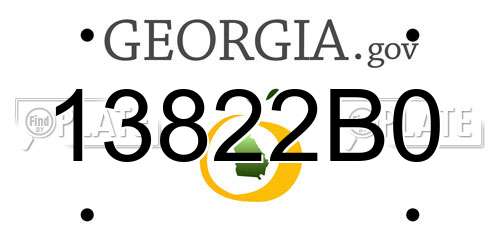 13822B0 Georgia License Plate